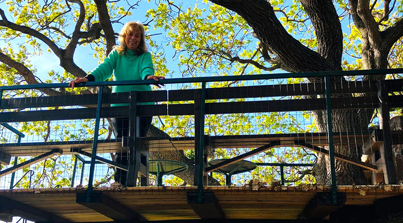 Gloria Zagami, la professoressa con la casa sull’albero