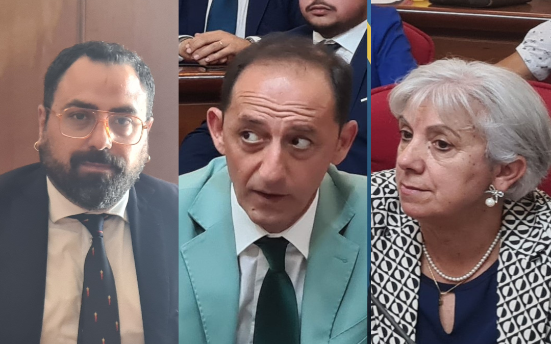 Comune di Vibo, Romeo assegna le deleghe a tre consiglieri: incarichi a Colelli, Pisani e Satriani. Ecco di cosa si occuperanno