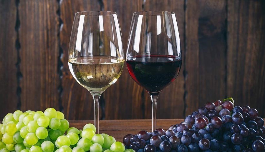 I vini della Calabria sul palco del Prowein 2025: a Düsseldorf l’evento enologico internazionale