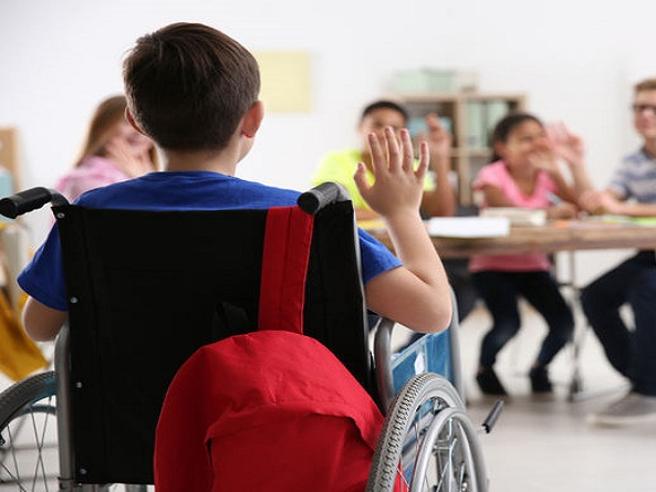 Vibo, fermo il servizio di assistenza agli alunni disabili, l’assessore Continanza: «Chiedo scusa alle famiglie»