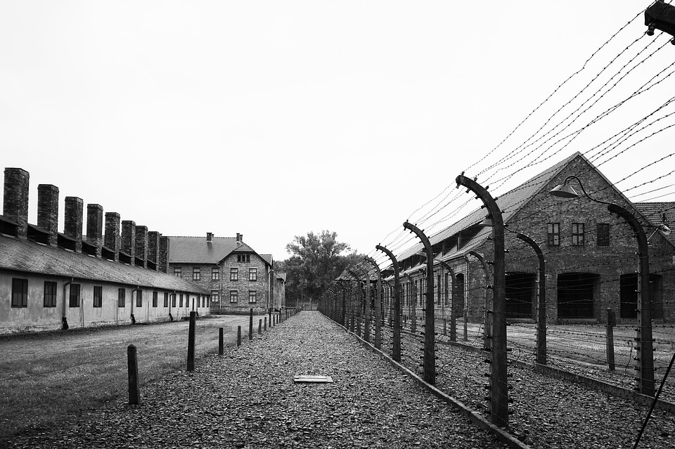 Alberto Capria: «Auschwitz-Birkenau 80 anni dopo tra commozione e turbamento»