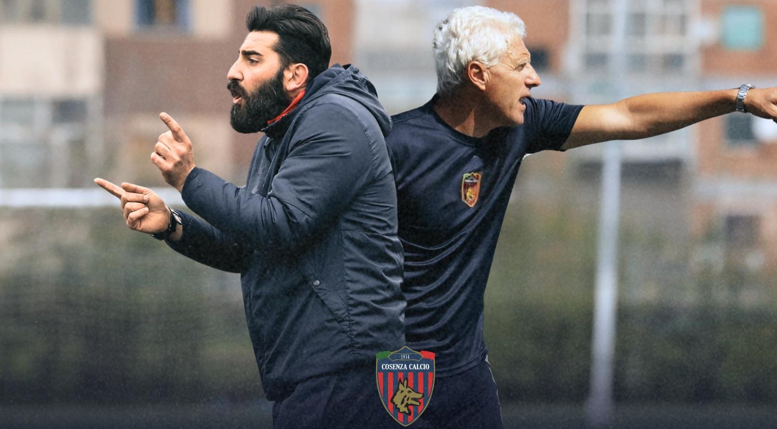 Cosenza Calcio, cambio in panchina: via Alvini, al suo posto Tortelli e Belmonte