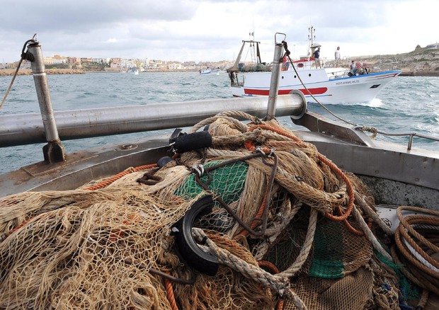 Alla Regione si insedia il Tavolo azzurro: strategie per sostenere il futuro della pesca calabrese