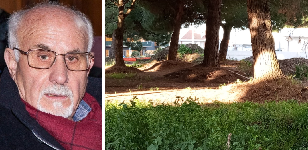 Vibo. Alberi di piazza Salvemini, Sinistra italiana ne ha per tutti: vecchi e nuovi amministratori