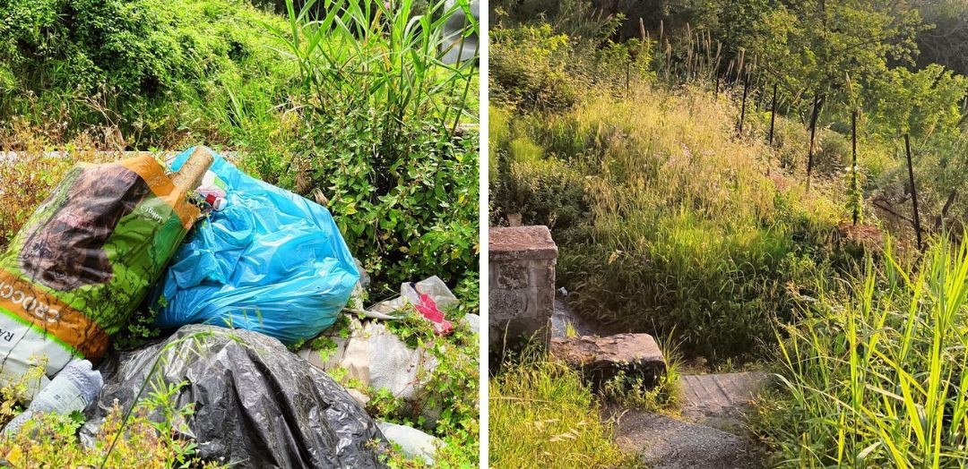 Vibo. Contrada Silica, fontane inaccessibili per i cittadini: area piena di rifiuti ed erbacce – Foto